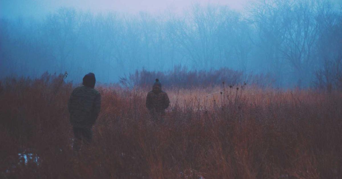 What is Living Carbon? Company Overview & Insights