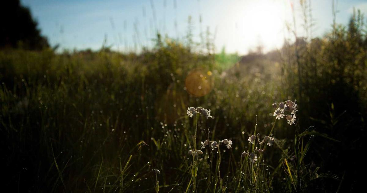 What is LUCA LUCA? - Company Overview & Details