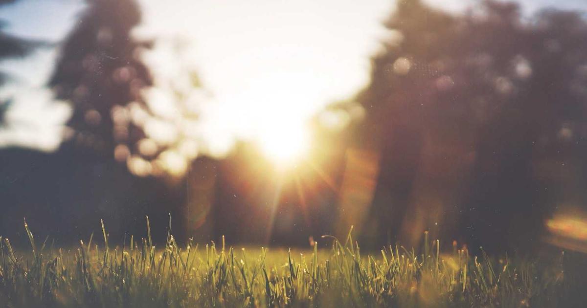 What is MBX? - Company Overview & Details