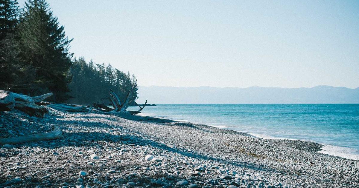 What is Mesh? - Company Overview & Details