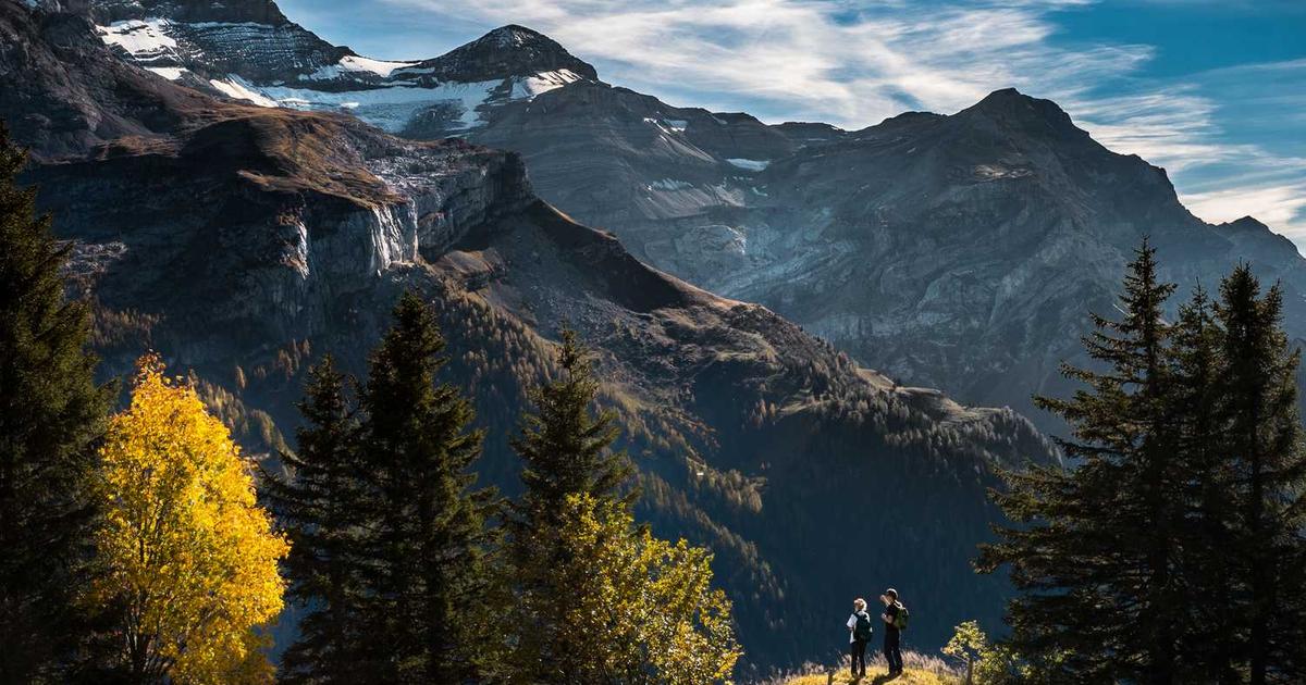 What is MindPortal? - Company Overview & Details