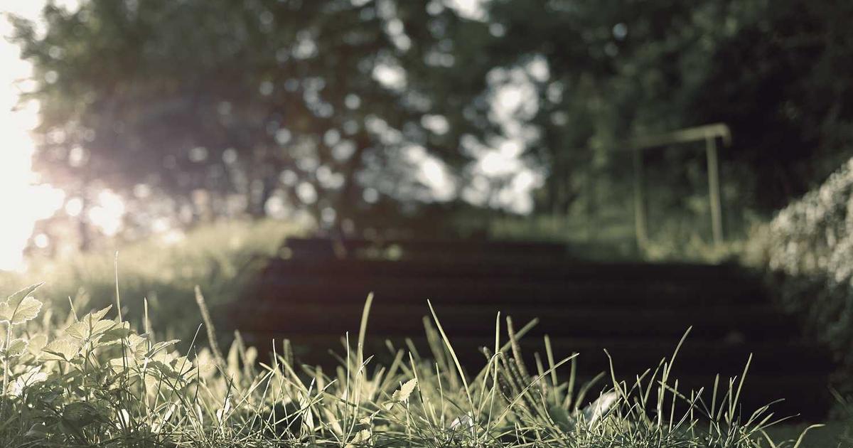 What is Miso? - Company Overview & Details