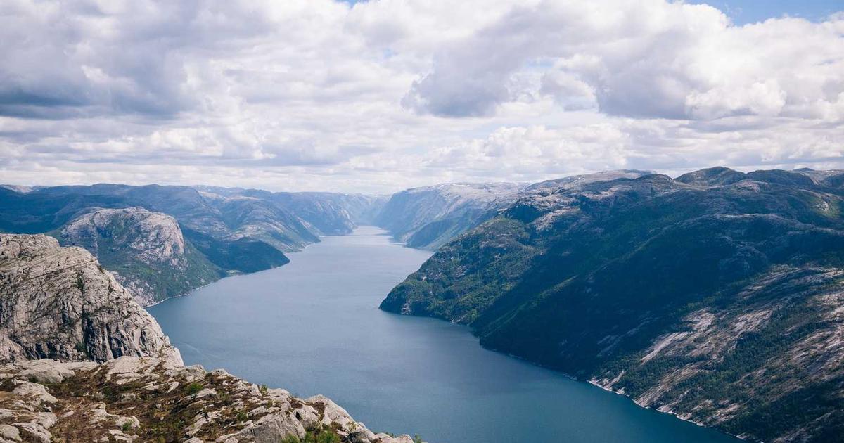 What is Monosi? - Company Overview & Details