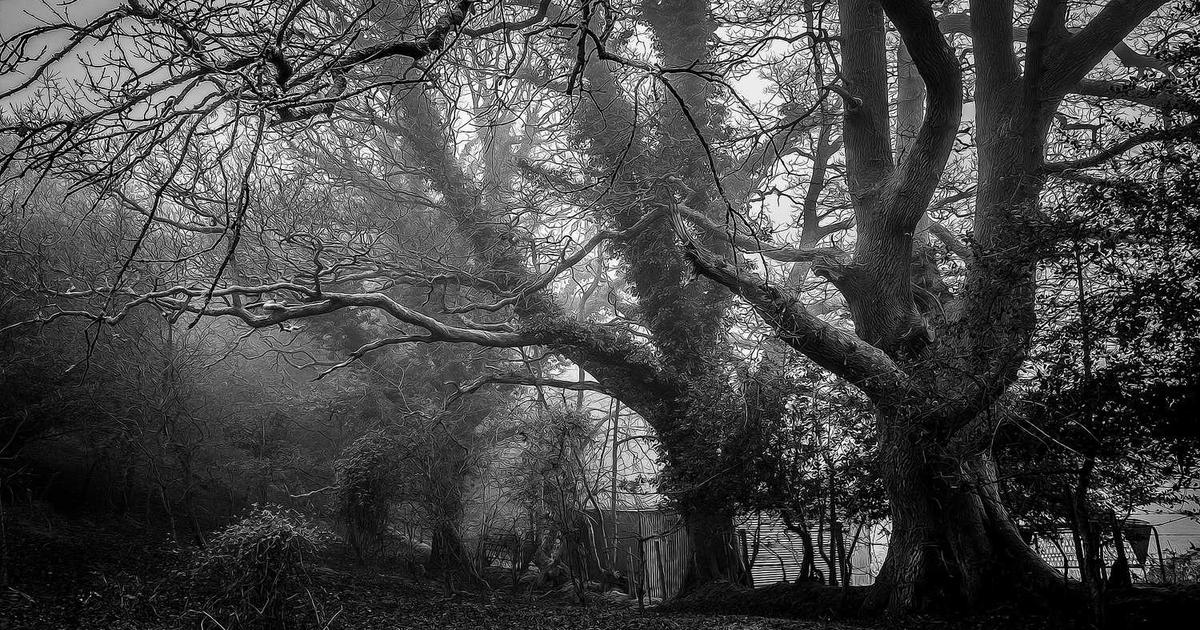 What is moons? - Company Overview & Details