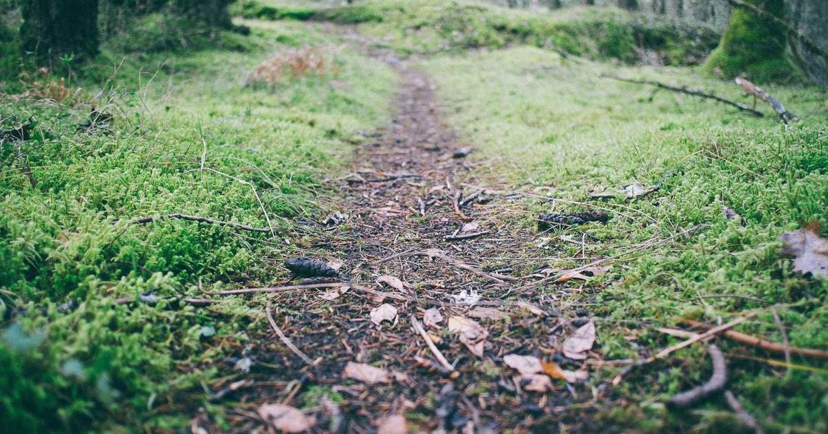 What is Mudrex? - Company Overview & Details