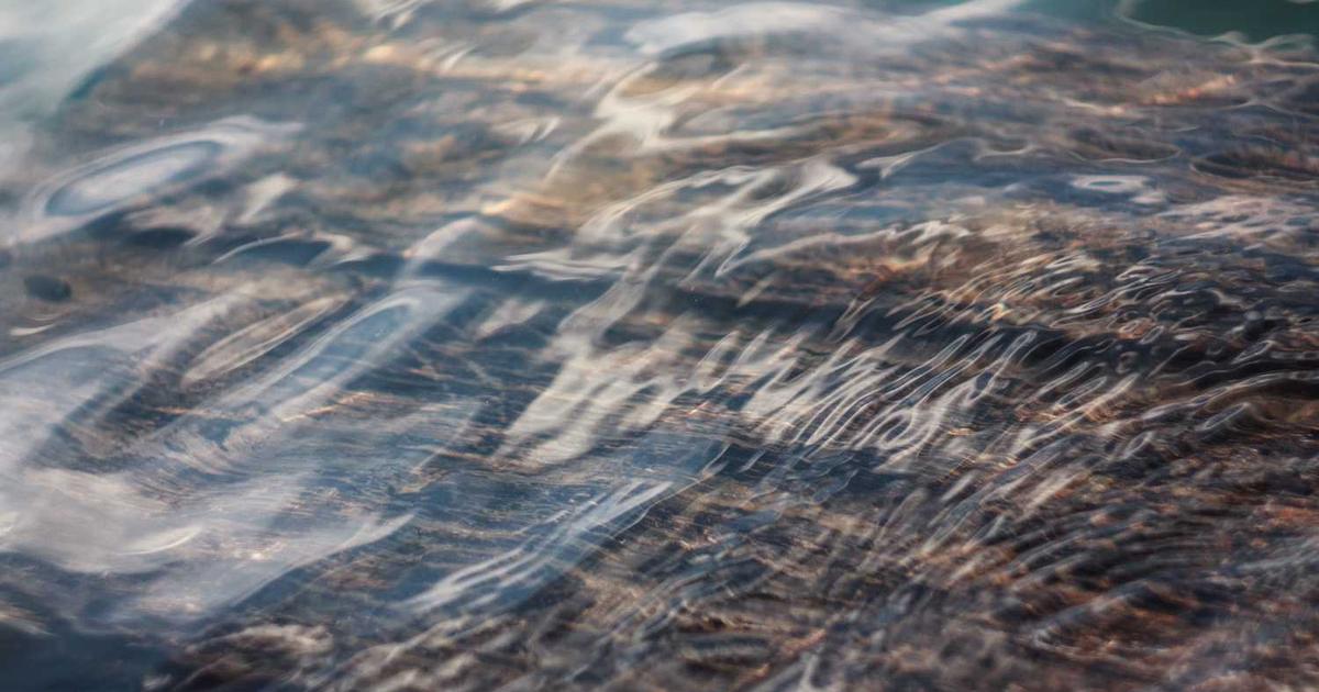 What is MyScoot? - Company Overview & Details