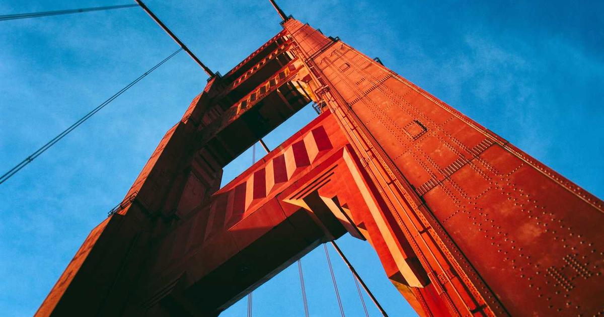 What is Nestybox? Company Overview & Details