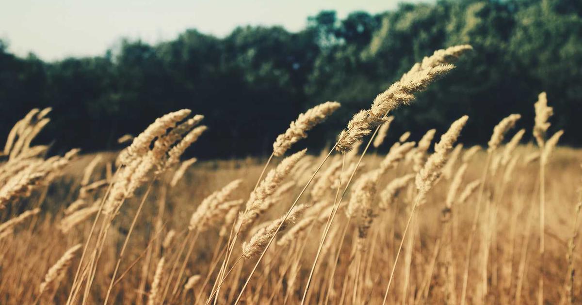 What is NetMaker Redes e Sistemas? - Company Overview & Details