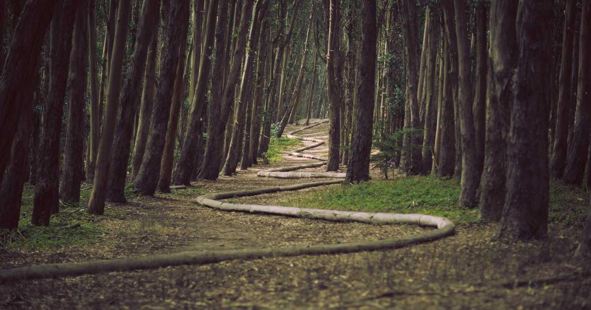 What is NextPay? - Company Overview & Details