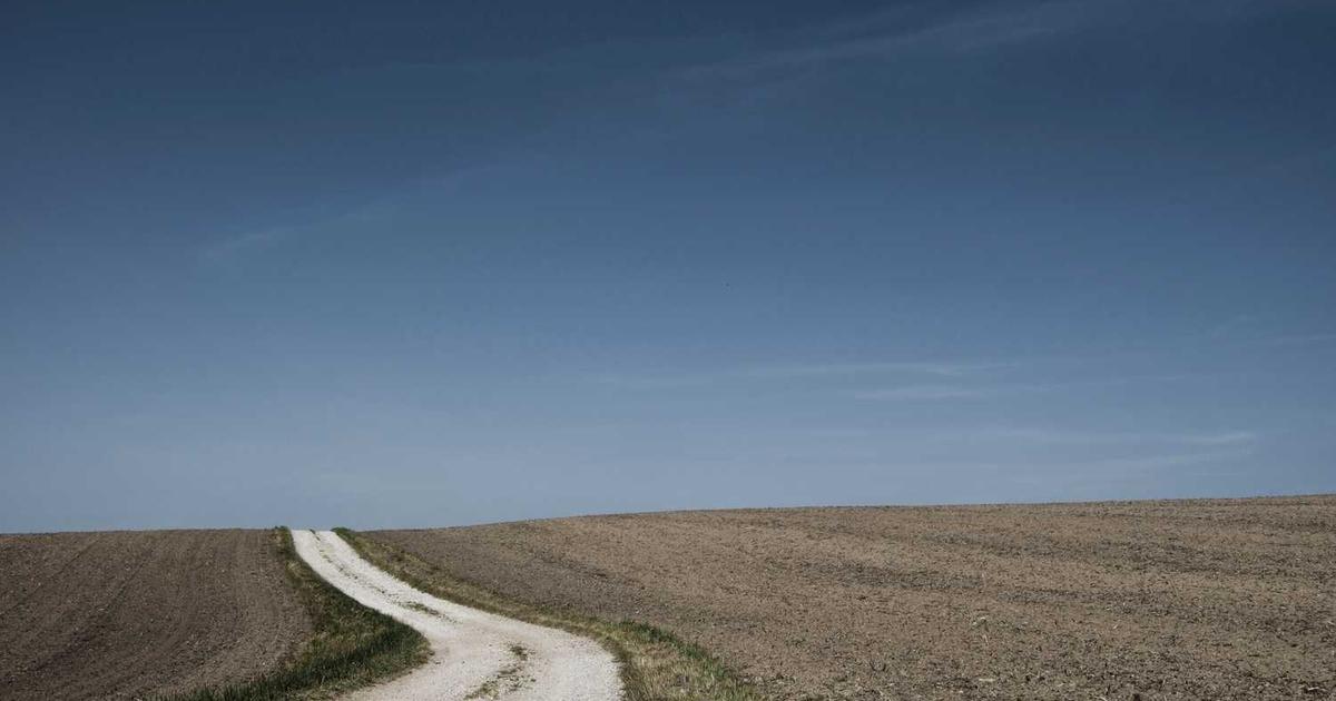 What is Nexu? - Company Overview & Details