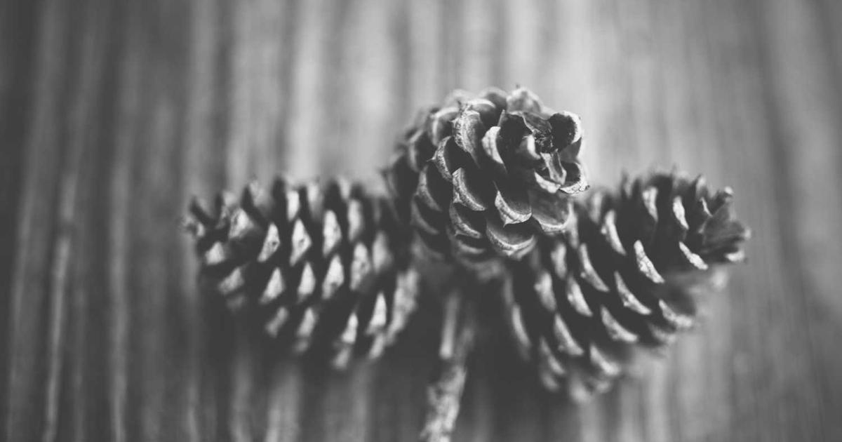 What is Nightingale? - Company Overview & Details