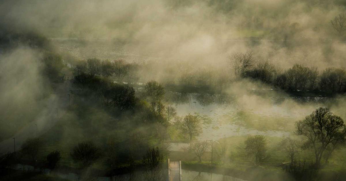 What is Nomic Bio? - Company Overview & Details