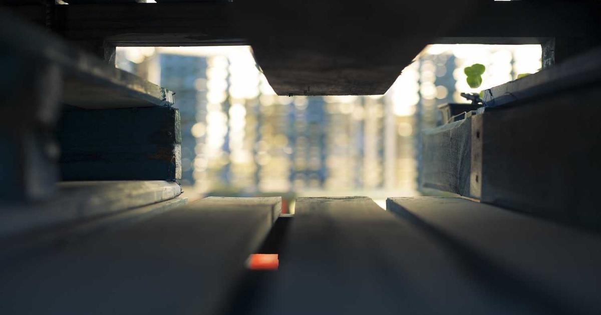 What is Orange Health Labs? - Company Overview & Details