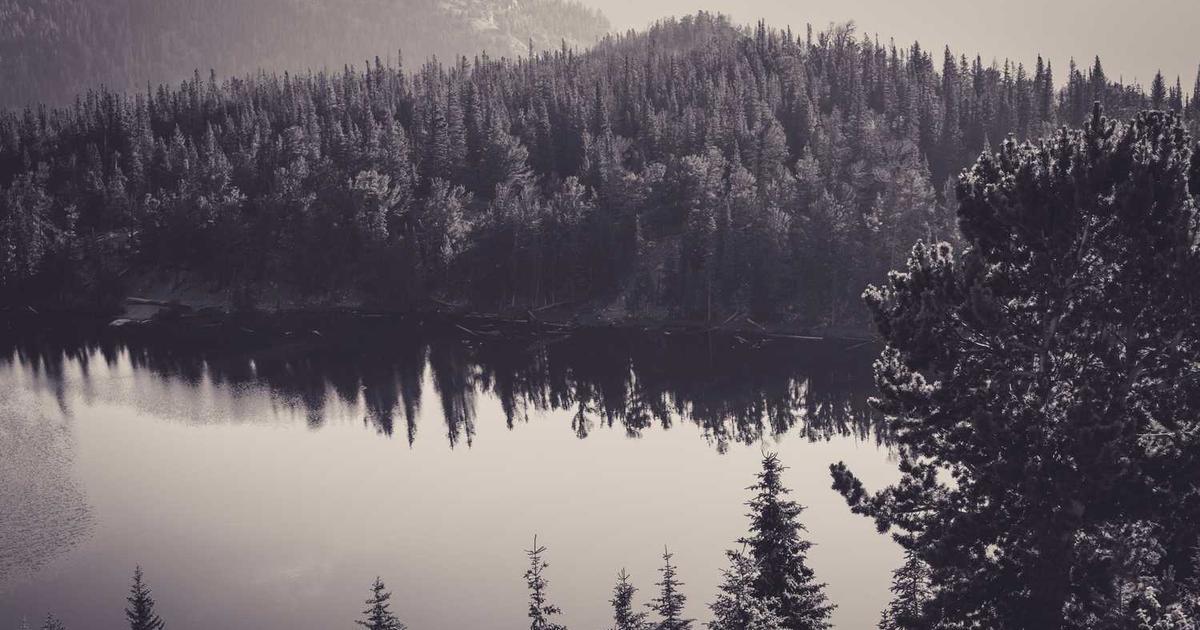 What is order.link? - Company Overview & Details