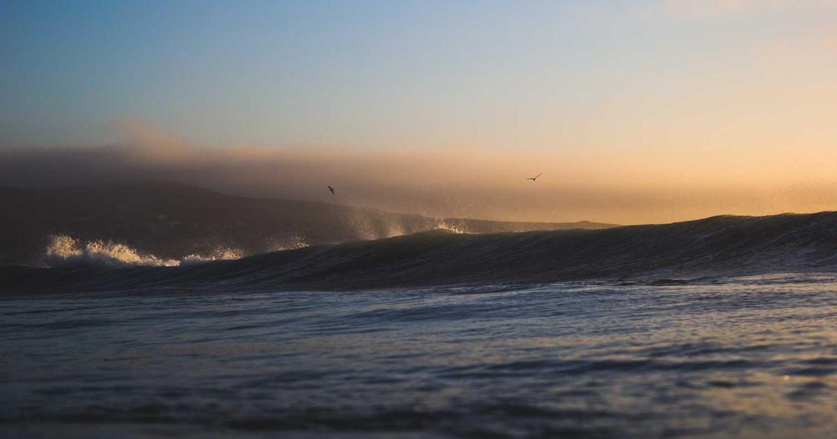 What is Pahamify? - Company Overview & Details