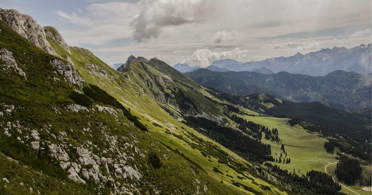 What is Paid? - Company Overview & Details