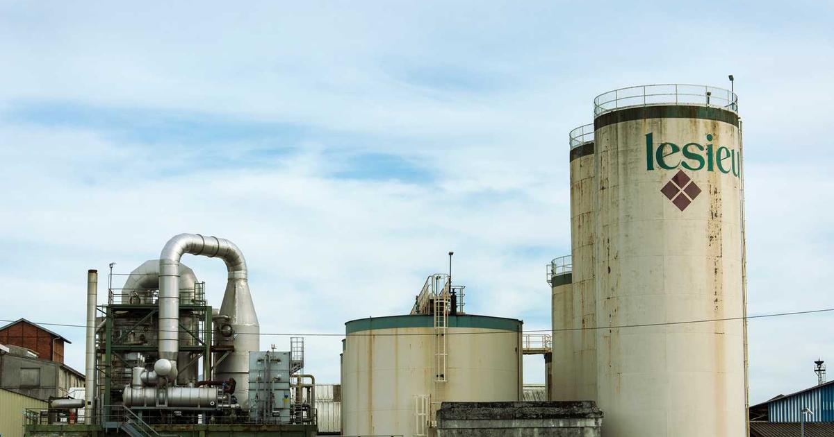 What is Parade? - Company Overview & Details