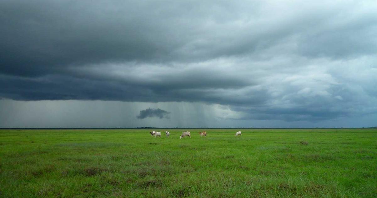 What is Per Diem? - Company Overview & Details