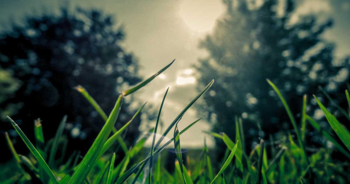 What is PillarPlus? - Company Overview & Details