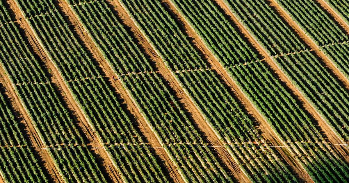 What is Plerk? - Company Overview & Details