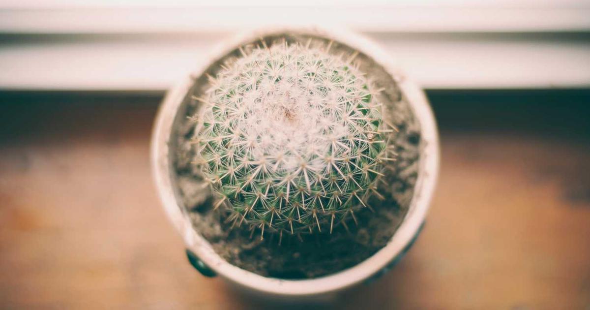 What is PostHog? Company Overview & Details