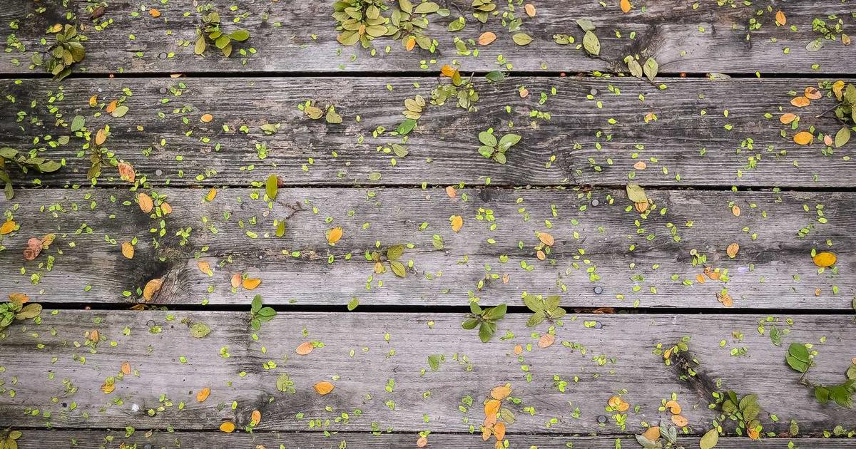 What is PostHog? - Company Overview & Details