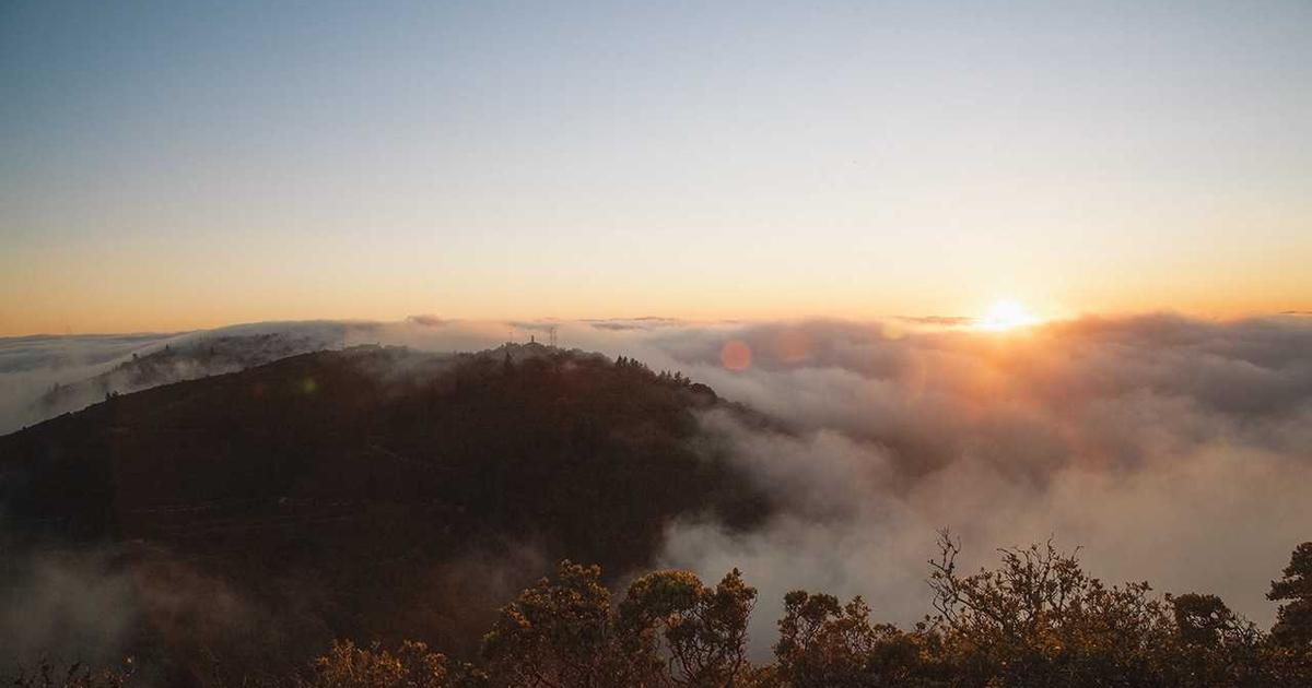 What is PowerX? - Company Overview & Details