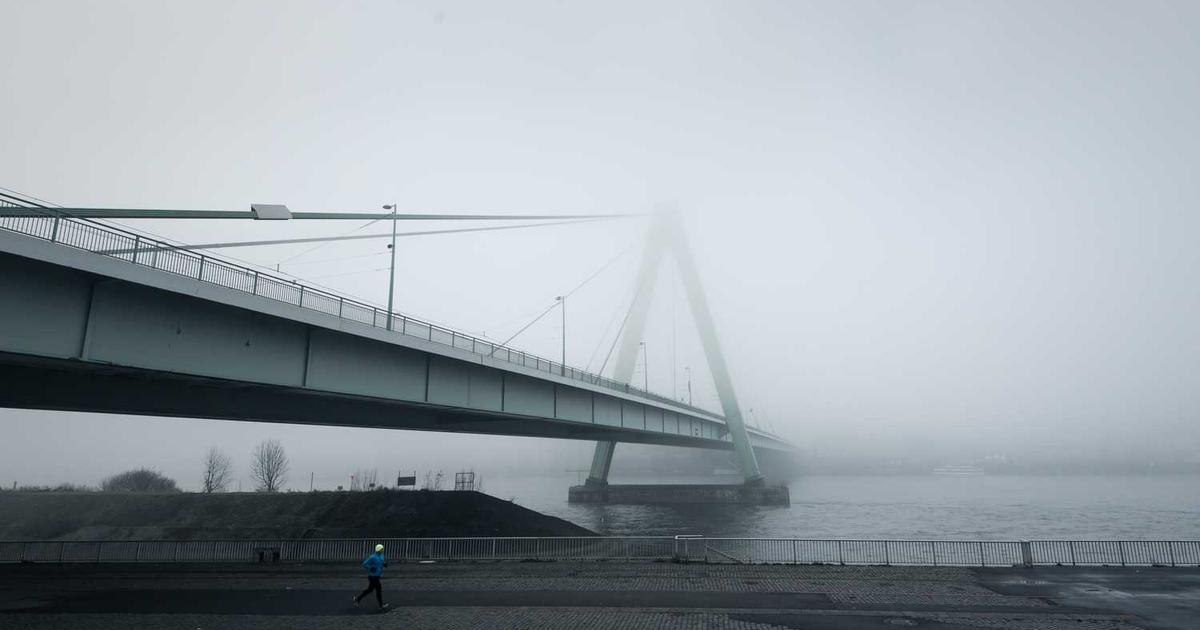 What is Prelay? Company Overview & Details