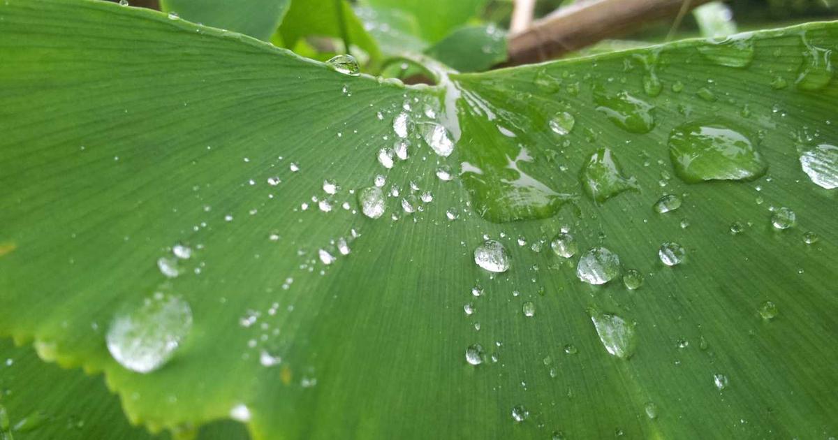 What is ProcessLabs? - Company Overview & Details