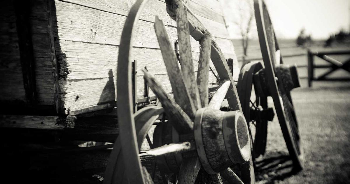 What is Pronto? - Company Overview & Details