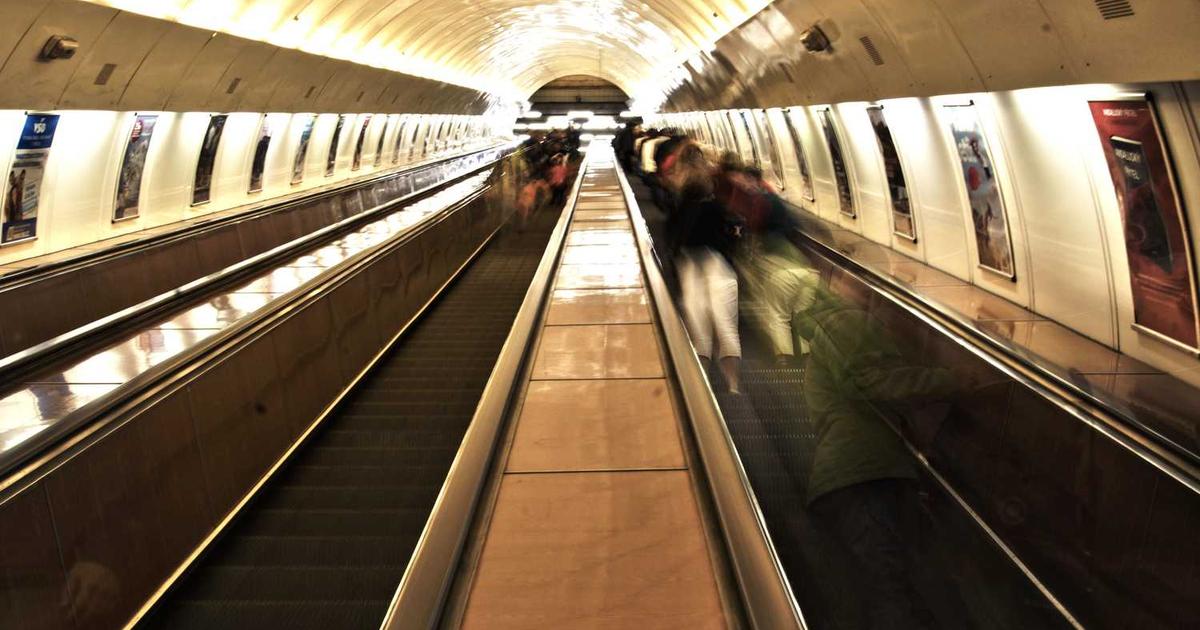 What is Queenly? - Company Overview & Details