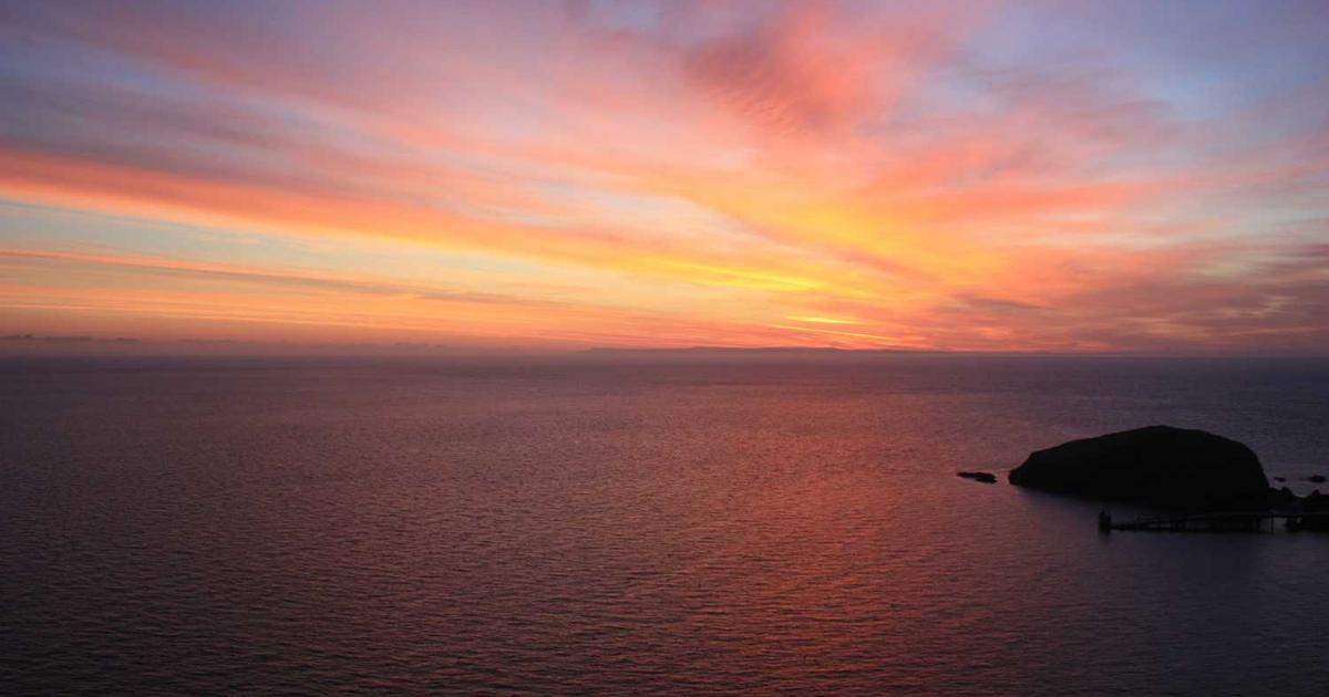 What is Rally UXR? - Company Overview & Details