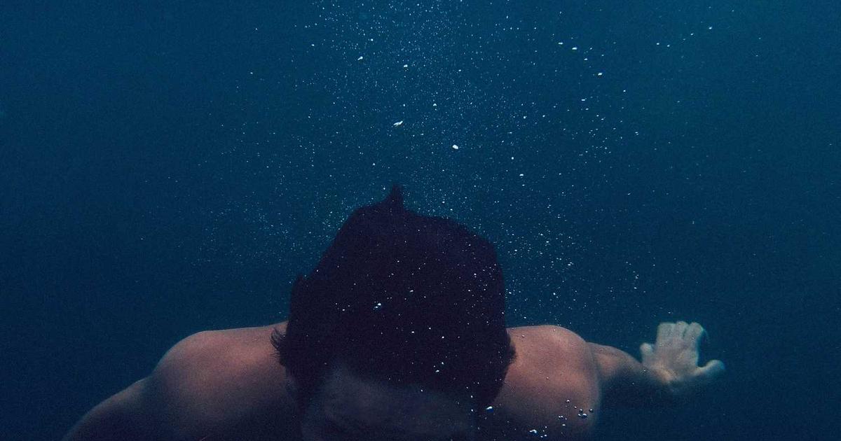 What is Rarebird? - Company Overview & Details