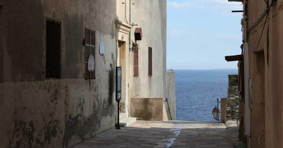 What is Routine? - Company Overview & Details