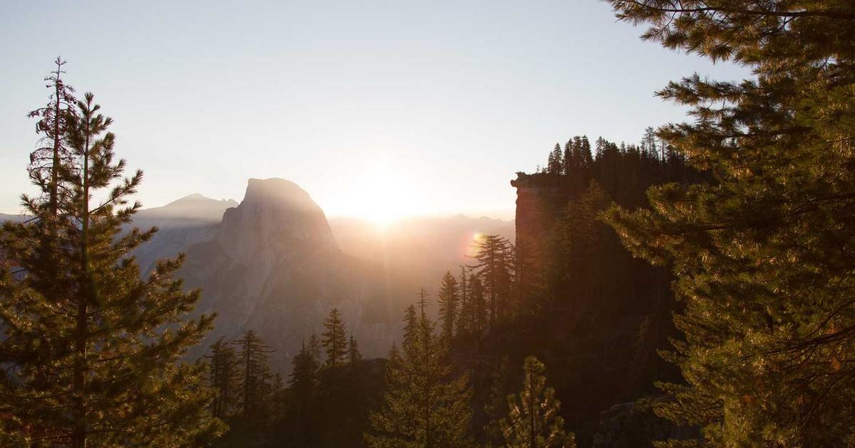 What is Safepay? - Company Overview & Details