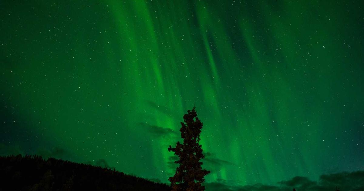 What is Searchlight? - Company Overview & Details