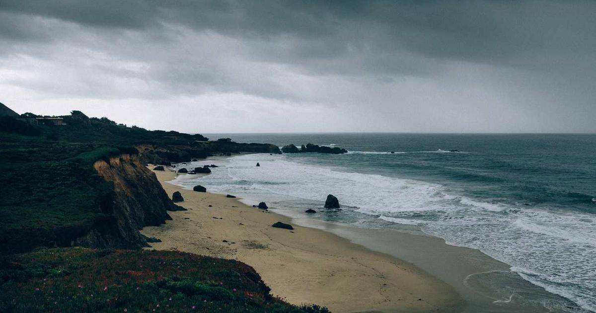 What is SimpleCitizen? - Company Overview & Details