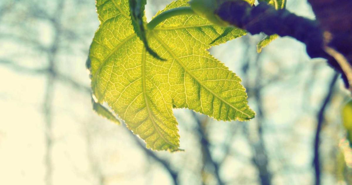 What is Simpli.fi? - Company Overview & Details