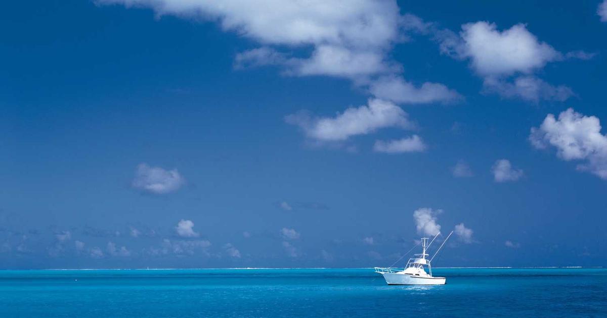 What is Spenny? - Company Overview & Details