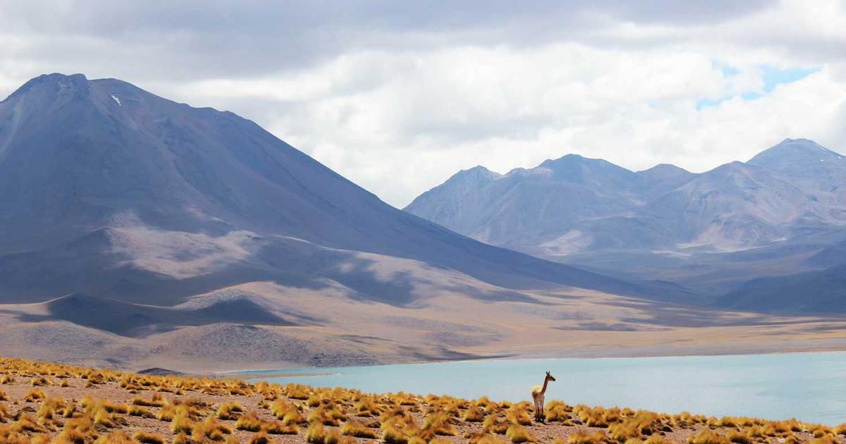 What is Starsky Robotics? - Company Overview & Details