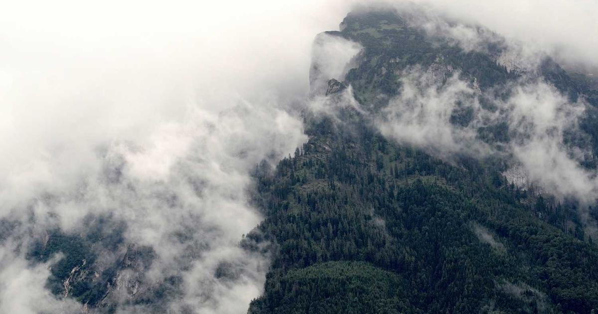 What is Stellar Sleep? - Company Overview & Details