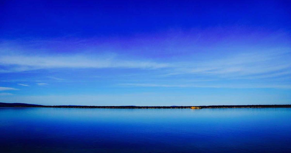 What is TechBiz Forense Digital? - Company Overview & Details