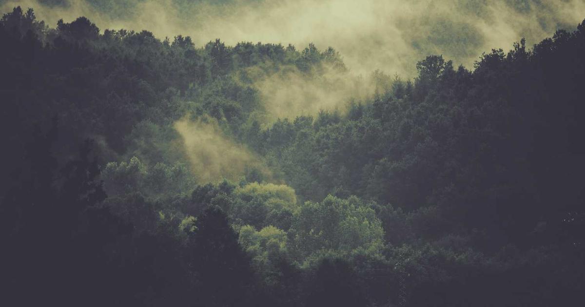 What is TerrAvion, Inc.? - Company Overview & Details