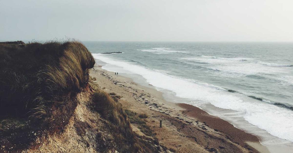 What is Topline Pro? - Company Overview & Details