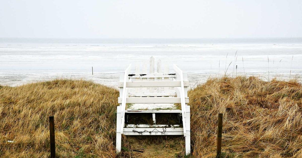 What is Tovala? - Company Overview & Details