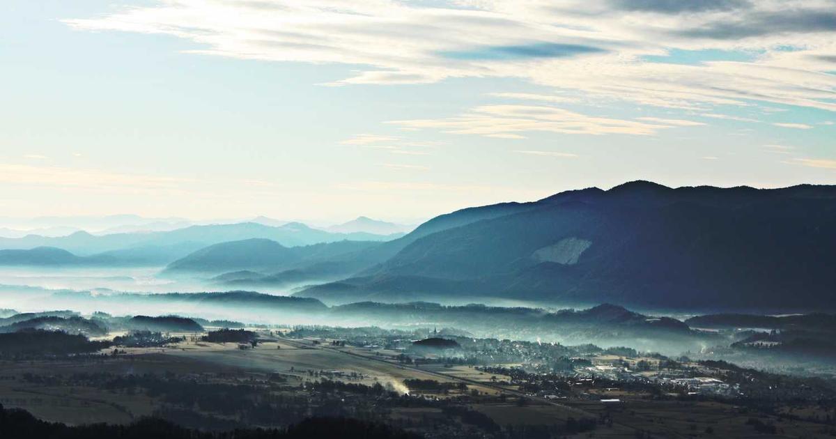 What is Trela? - Company Overview & Details