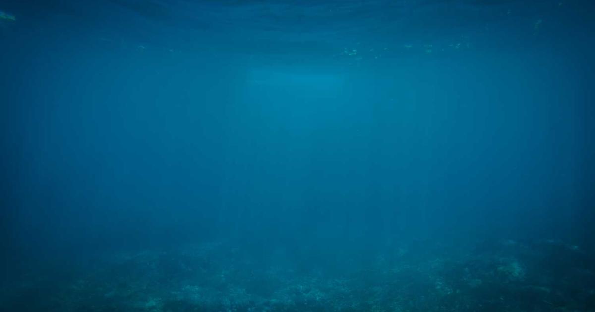 What is TrueVault? - Company Overview & Details