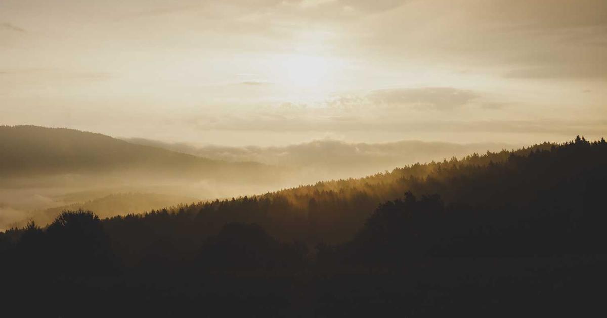 What is Vector? - Company Overview & Details