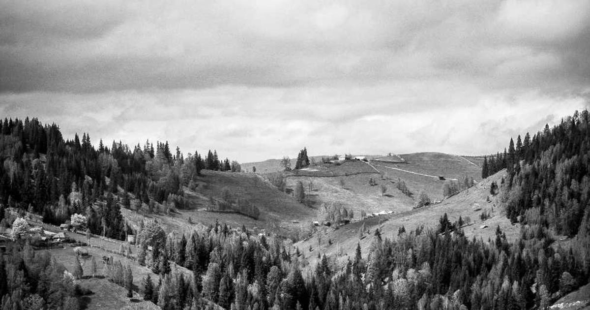 What is VERDN? - Company Overview & Details