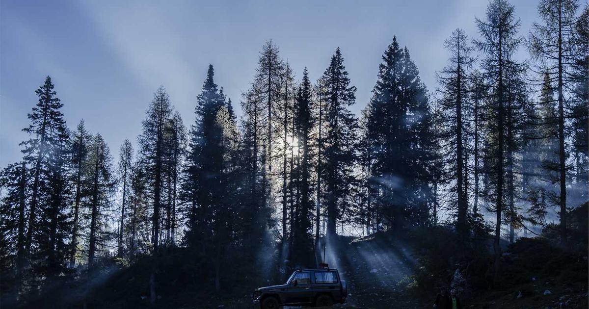 What is Verge Genomics? - Company Overview & Details